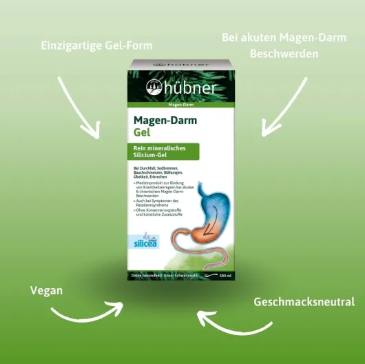 Hübner Magen-Darm Gel 500 ml