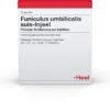 Heel Funiculus Umbilicalis Suis-Injeele 10 Ampullen zu 1,1 ml
