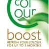 Hennaplus Colour Shampoo Boost Silver
