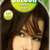 Hennaplus Long Lasting Colour Farbe Mocha-Brown 4.03 100 ml