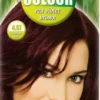 Hennaplus Long Lasting Red Violet Brown 4,67