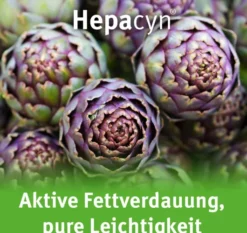 Hepacyn Artischocke 120 Filmtabletten