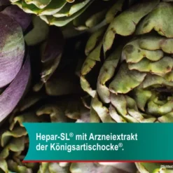 Hepar Sl 320 mg 50 Hartkapseln