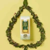 Herbaria Bio Tee Brennnessel Ingwer 45 g