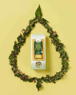 Herbaria Bio Tee Brennnessel Ingwer 45 g