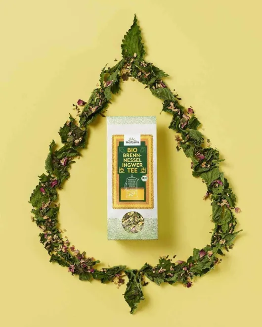 Herbaria Bio Tee Brennnessel Ingwer 45 g