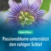 Hoggar Melatonin Duo 30 Kapseln