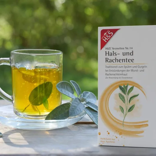 H&S Hals- und Rachentee Filterbeutel