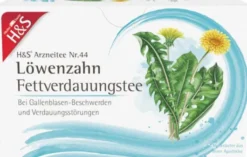 H&S Löwenzahn 20 Filterbeutel