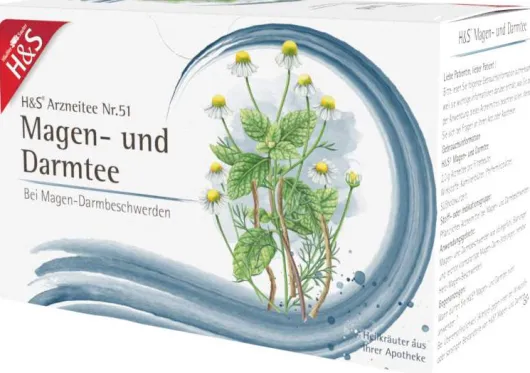 H&S Magen- und Darmtee Arzneitee 20 Filterbeutel