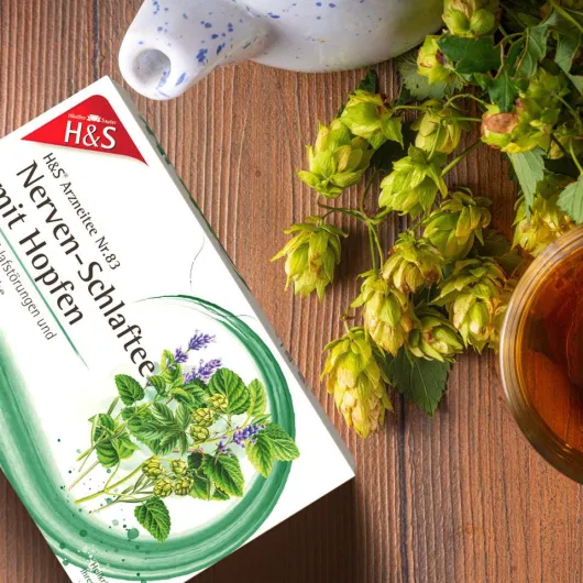 H&S Nerven - und Schlaftee Mit Hopfen 20 Beutel