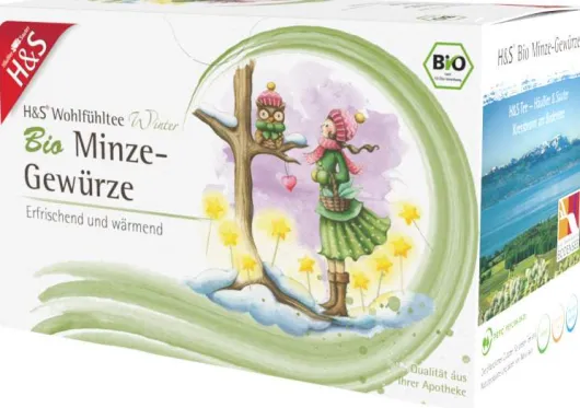 H&S Wintertee Bio Minze-Gewürze 20 X 2 G Filterbeutel