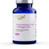 Hyaluronsäure 100 + Kollagen 400 120 Kapseln