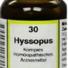 Hyssopus Komplex Nr. 30 20 ml Dilution