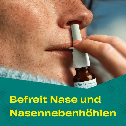 Imidin N Nasenspray 15 ml
