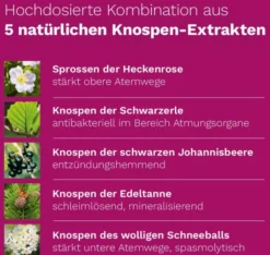 Immun Plus Dr.Koll Gemmo Vitamin B6 + B12 + Selen + 50 ml Tropfen