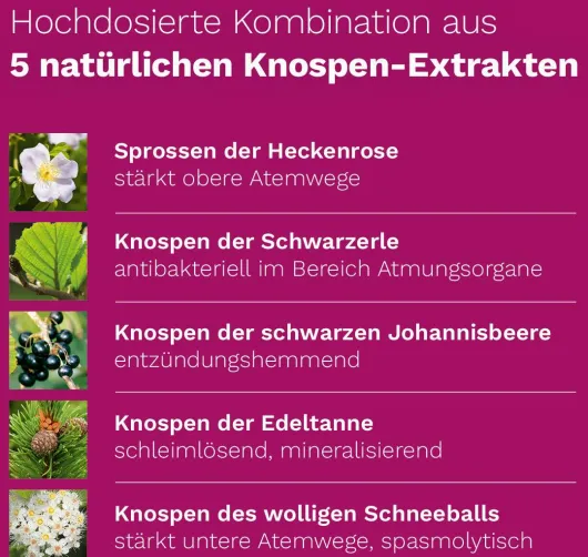 Immun Plus Dr.Koll Gemmo Vitamin B6 + B12 + Selen + 50 ml Tropfen