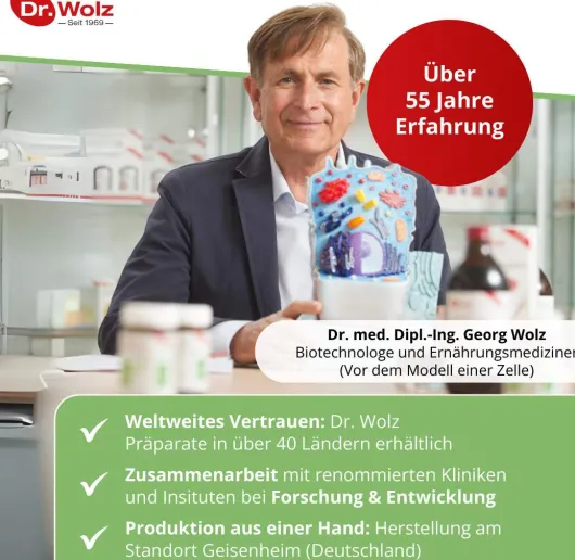 Ingwer Extrakt Dr. Wolz 120 Kapseln