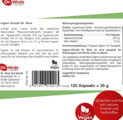 Ingwer Extrakt Dr. Wolz 120 Kapseln