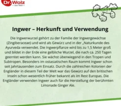 Ingwer Extrakt Dr. Wolz 120 Kapseln