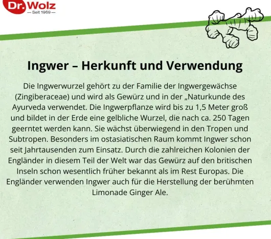 Ingwer Extrakt Dr. Wolz 120 Kapseln