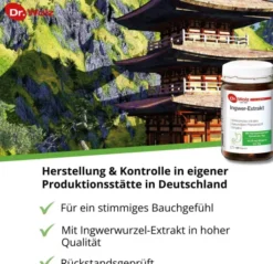 Ingwer Extrakt Dr. Wolz 120 Kapseln