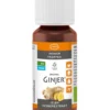Ingwer Ginjer Forte Tropfen
