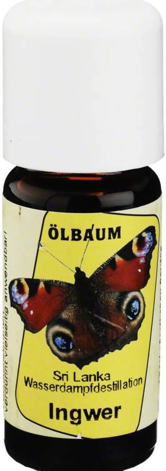 Ingwer Öl