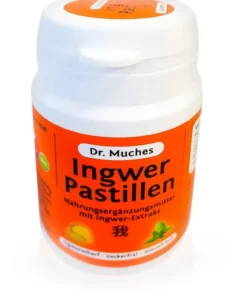 Ingwer Pastillen Dr.Muches Zuckerfrei