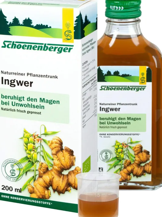 Ingwer Pflanzentrunk Schoenenberger