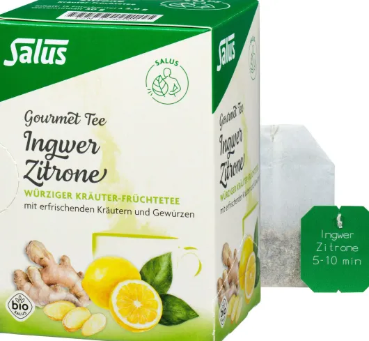 Ingwer Zitrone Tee Salus Filterbeutel
