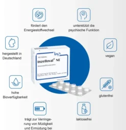 Inzelloval Ne 100 Filmtabletten