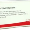 Iscucin Mali Potenzreihe I