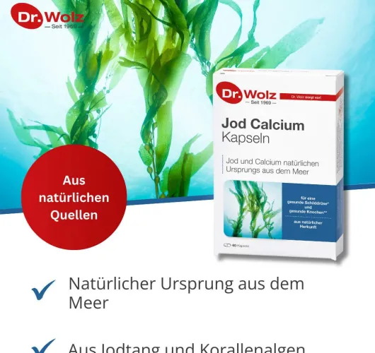 Jod Calcium Kapseln Dr.Wolz