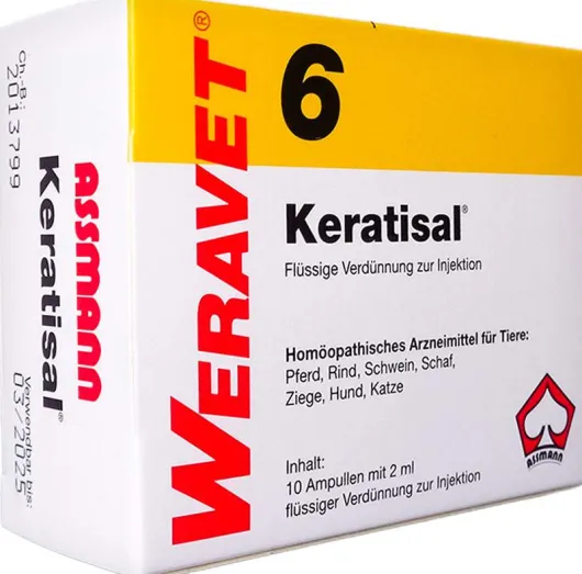 Keratisal 6 Ampullen Vet 10 X 2 ml