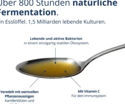 Kijimea Life Flüssigkeit zum Einnehmen 500 ml