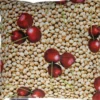 Kirschkernkissen 17 X 17 1 Stück