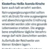 Klosterfrau Heiße Acerola-Kirsche Zuckerfrei 12 Beutel