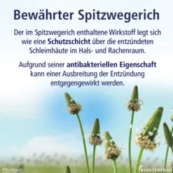 Klosterfrau Hustensaft 240 g
