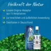 Klosterfrau Melissengeist 155 ml Flüssigkeit