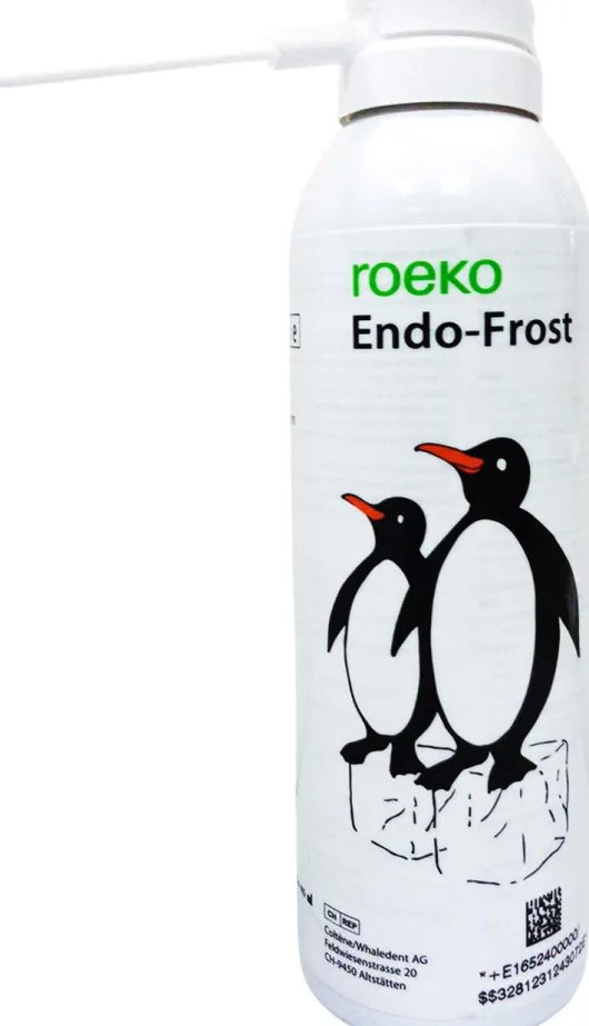 Kältespray Endo Frost 200 ml
