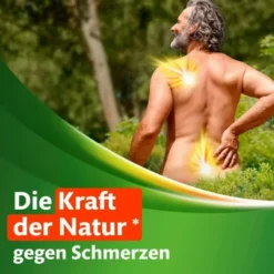 Kytta Schmerzsalbe 100 g