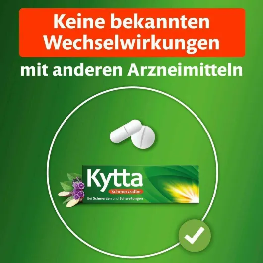 Kytta Schmerzsalbe 100 g