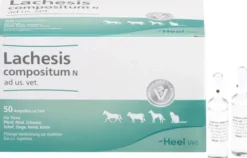 Lachesis Compositum N Ad Us. vet. 50 Ampullen