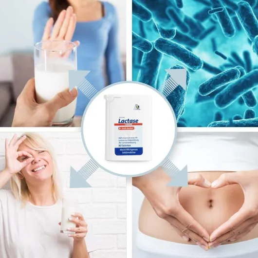 LACTASE 14.000 FCC 80 Tabletten im Spender