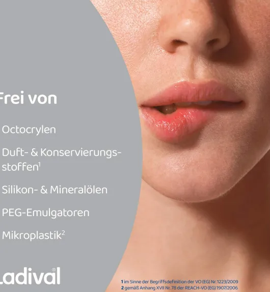 Ladival Aktiv UV-Schutzstift Lippen LSF 50+ 1 Stift