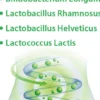 Lakto Bifido Dr.Jacob s 90 Kapseln