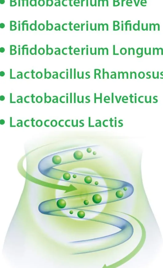 Lakto Bifido Dr.Jacob s 90 Kapseln