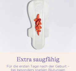 Lansinoh Wochenbett-Einlagen Wochen 0-2 10 Stück