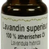 Lavandin Öl 100 % Ätherisch Lavandula Hybrida 10 ml